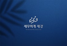 세무회계 세강