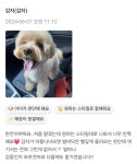 강아지놀이터