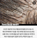 하라힐즈 군산나운점
