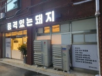 품격있는돼지