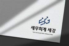 세무회계 세강