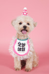 뽀샵천국 천호점