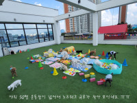 꽃피는견생 인천애견유치원