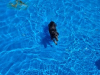 갈비명가할머니집 포천본점