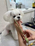 귀엽꾸멍
