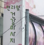 천리향체형관리