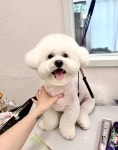 귀엽꾸멍
