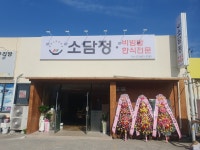 소담정
