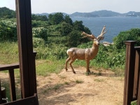 이수도1박3식 재너머 민박