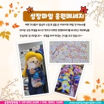삼성영어탄현서광 | 삼성영어셀레나 삼현학원