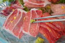 정참치