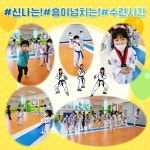 용인대흥도태권도