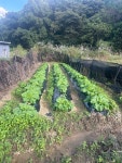 재욱농장