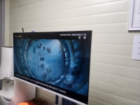 로얄자동차전문정비