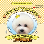 멍팰리스