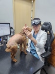 봄봄동물병원
