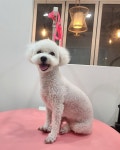 귀여븐댕