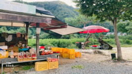 창원농원