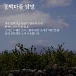 제주동백마을
