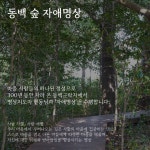 제주동백마을