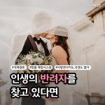 한라국제결혼