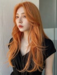 로이드밤 고양원당점