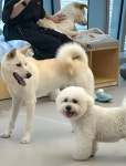 알파플러스펫라운지