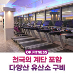 오케이피트니스 영도 1호점