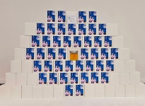 MTA라이온즈태권도