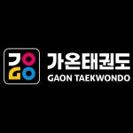 한국체대 가온태권도 성인태권도