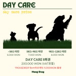 멍스테이 애견미용 애견호텔 수원점