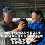 함평흑염소식당