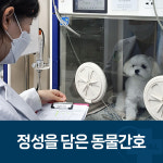 로얄동물메디컬센터 강동