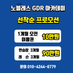 노블레스GDR플러스&스크린