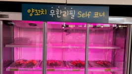 하얼빈 샤브샤브 훠궈 양꼬치 무한리필