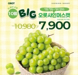 오롯 선릉한신인터밸리점