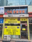더독동물병원