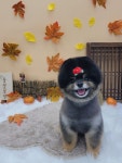 꿀멍꿀멍