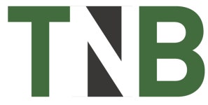 세무법인티엔비