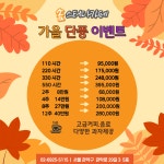 솜스터디카페