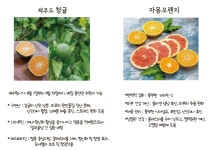 카페 헤브론