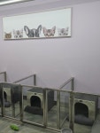 퓸퓸몽