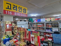 고려인삼