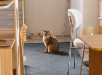 연인테리어디자인