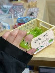 행운뽑기