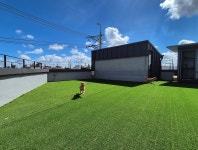 가나종합동물병원