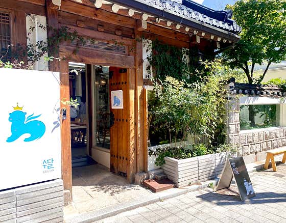 카페 수달 사진