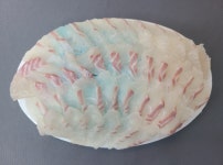 우승회직거래수산