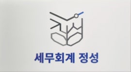 정성 세무회계