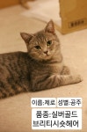 냥이싸롱